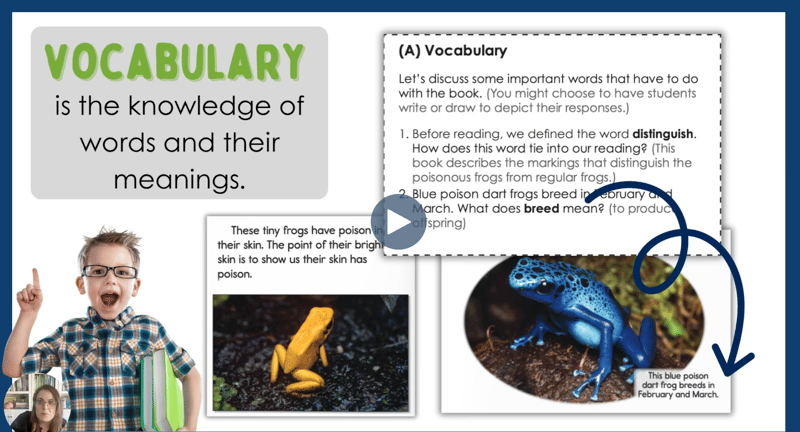 Video 4: Supporting Vocabulary